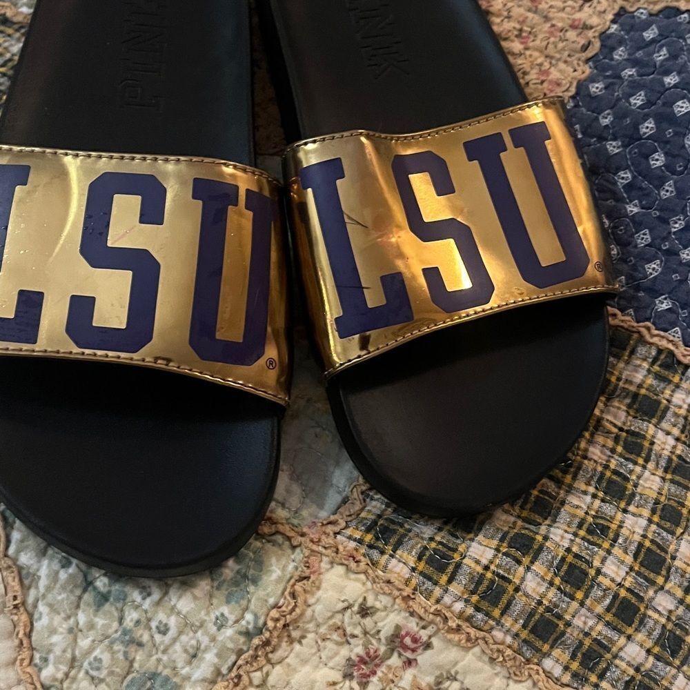 LSU slides - Picture 5 of 5